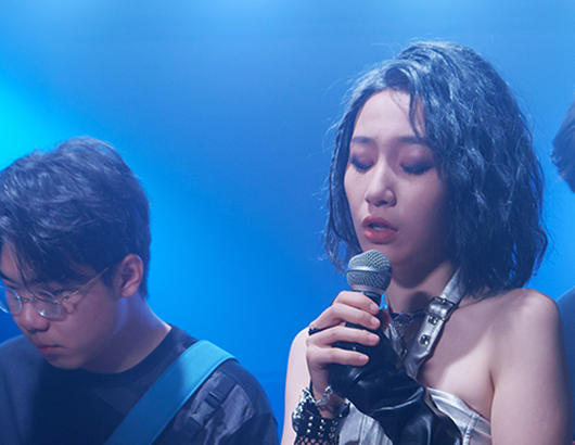 蚂蚁分类信息系统